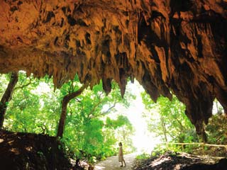 【那覇発/半日南部観光】ラドOSB号『斎場御嶽&ガンガラーの谷ガイドツアーコース』★「斎場御嶽」→「ガンガラーの谷ガイドツアー」★※斎場御嶽入場料は含まれておりません。★¥4,800~¥5,000★1